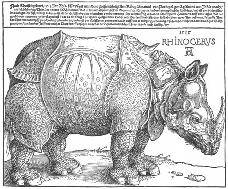 Albrecht Dürer: Rhinocerus